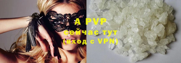 дмт Инсар