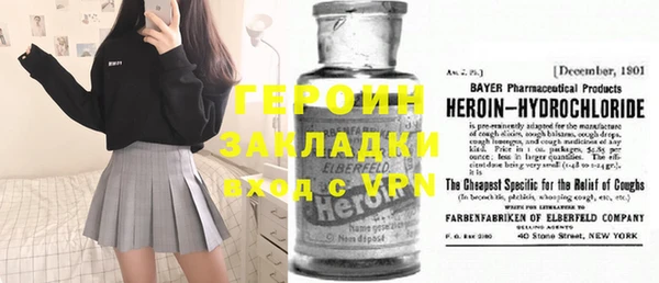 индика Каменногорск