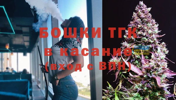 дмт Инсар