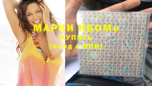 индика Каменногорск