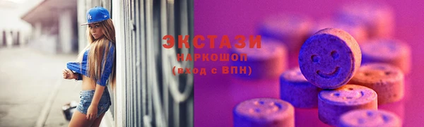 индика Каменногорск