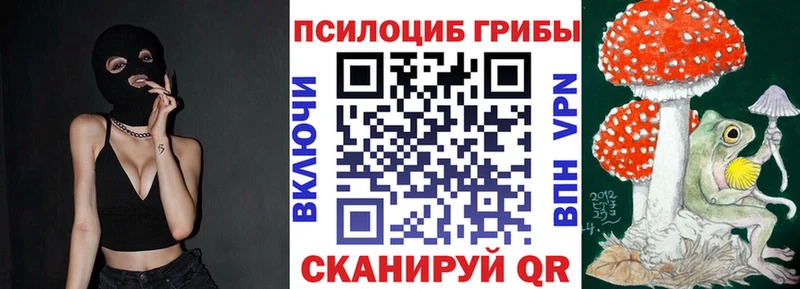 магазин    Назрань  Галлюциногенные грибы Psilocybe 